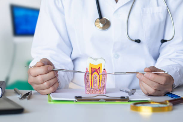 Best Pediatric Emergency Dentist in Northview, MI